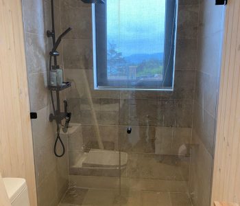 Showerdoor (3)