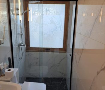Showerdoor (5)