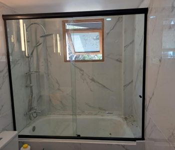 Showerdoor (8)