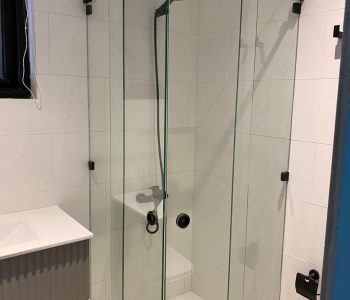 Showerdoor (9)